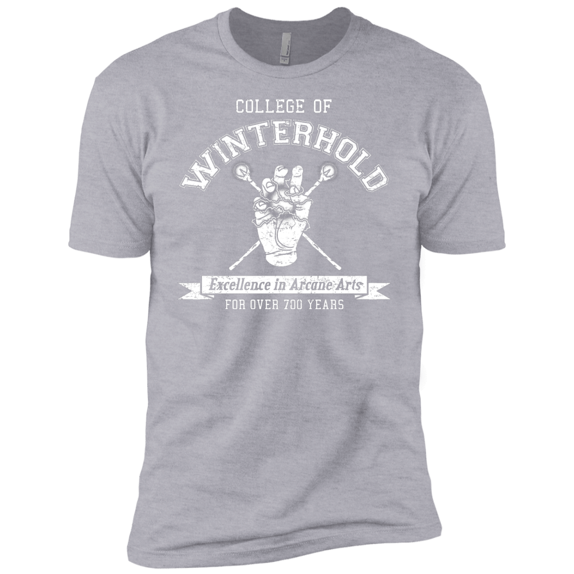 Boys_Premium T-Shirts Heather Grey / YXS College of Winterhold Boys Premium T-Shirt