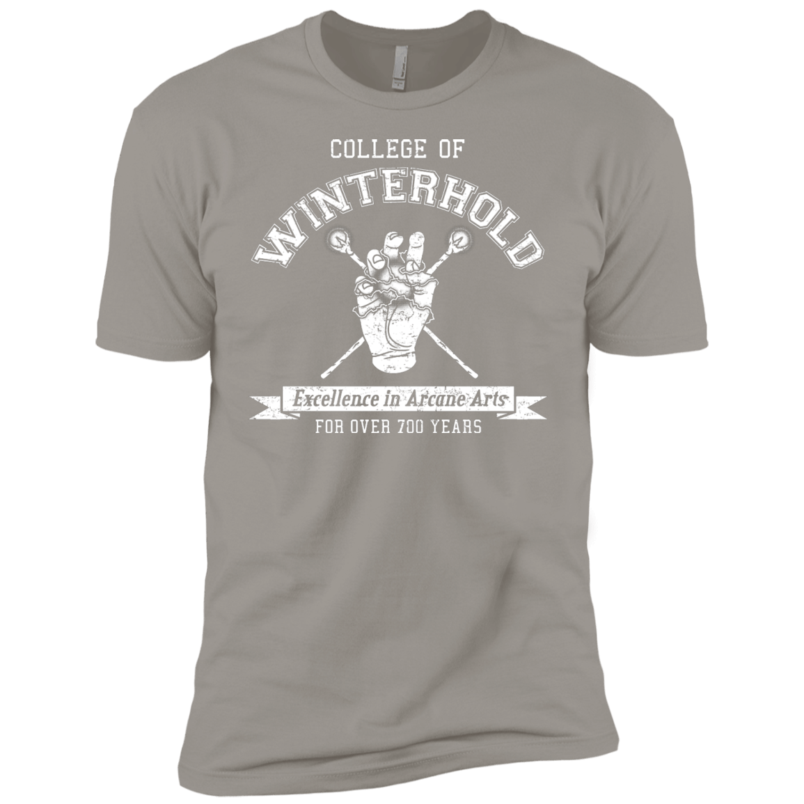 Boys_Premium T-Shirts Light Grey / YXS College of Winterhold Boys Premium T-Shirt