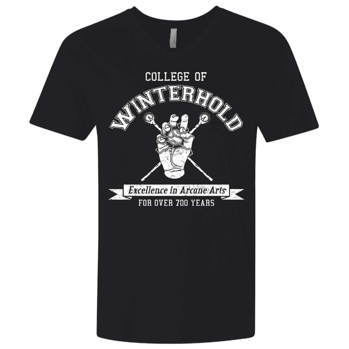 Mens_Premium V-neck Black / X-Small College of Winterhold Men's Premium V-Neck