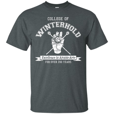 Mens_T-Shirts Dark Heather / Small College of Winterhold T-Shirt