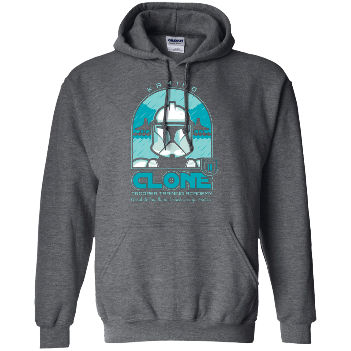 Sweatshirts Dark Heather / Small Absolute Loyalty Pullover Hoodie