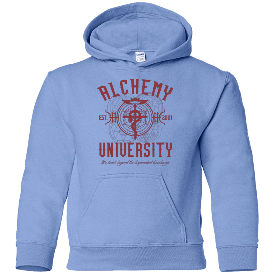 Sweatshirts Carolina Blue / YS Alchemy University Youth Hoodie