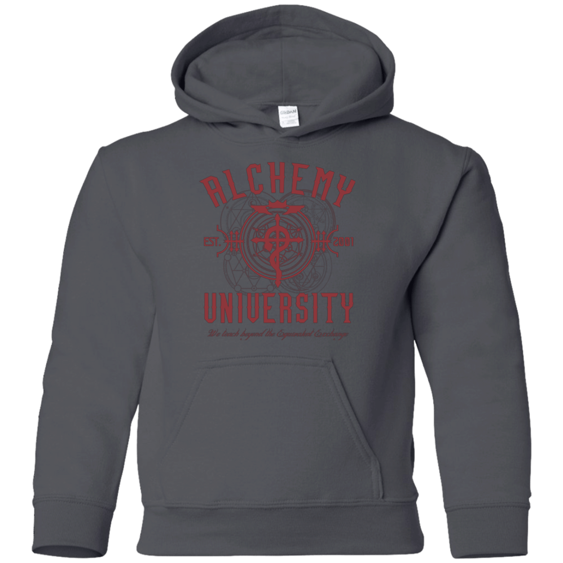 Sweatshirts Charcoal / YS Alchemy University Youth Hoodie