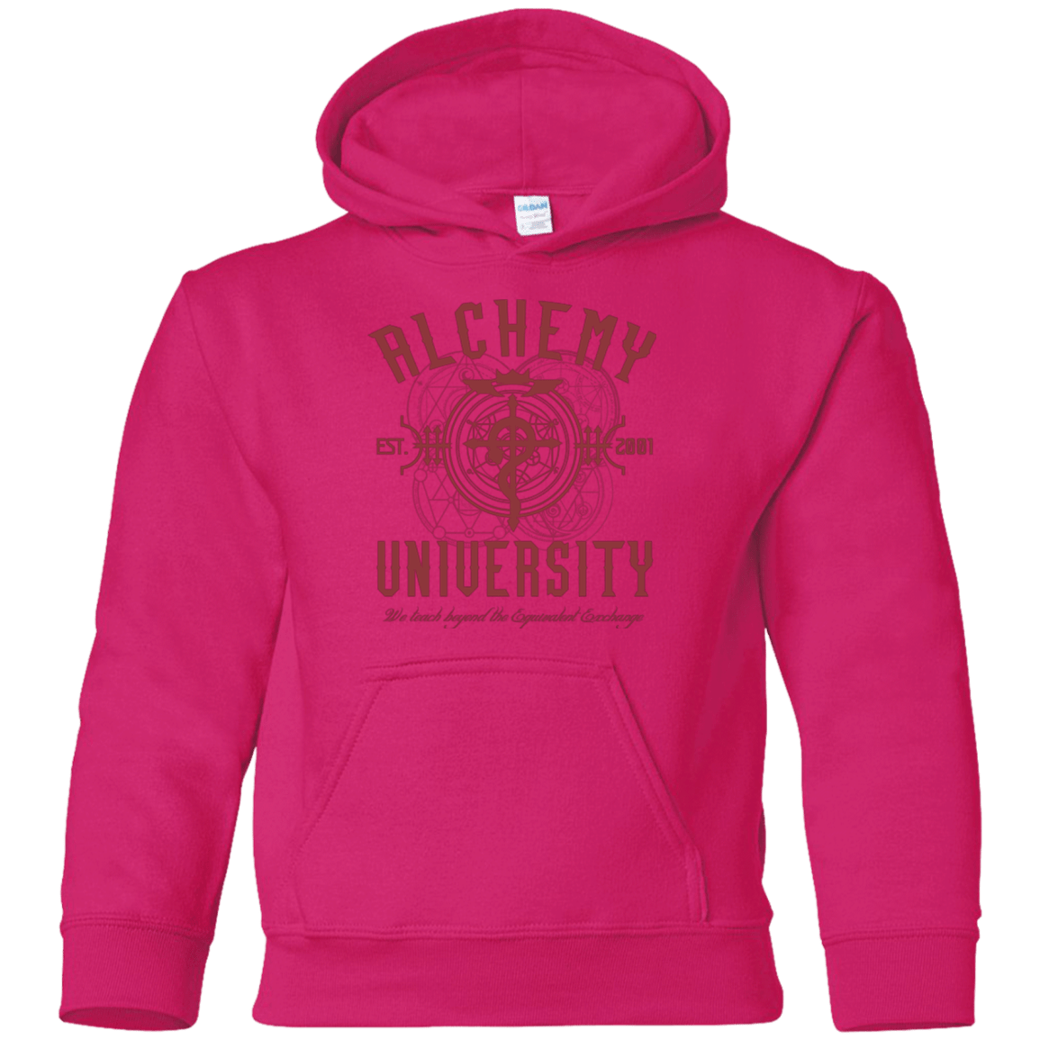 Sweatshirts Heliconia / YS Alchemy University Youth Hoodie
