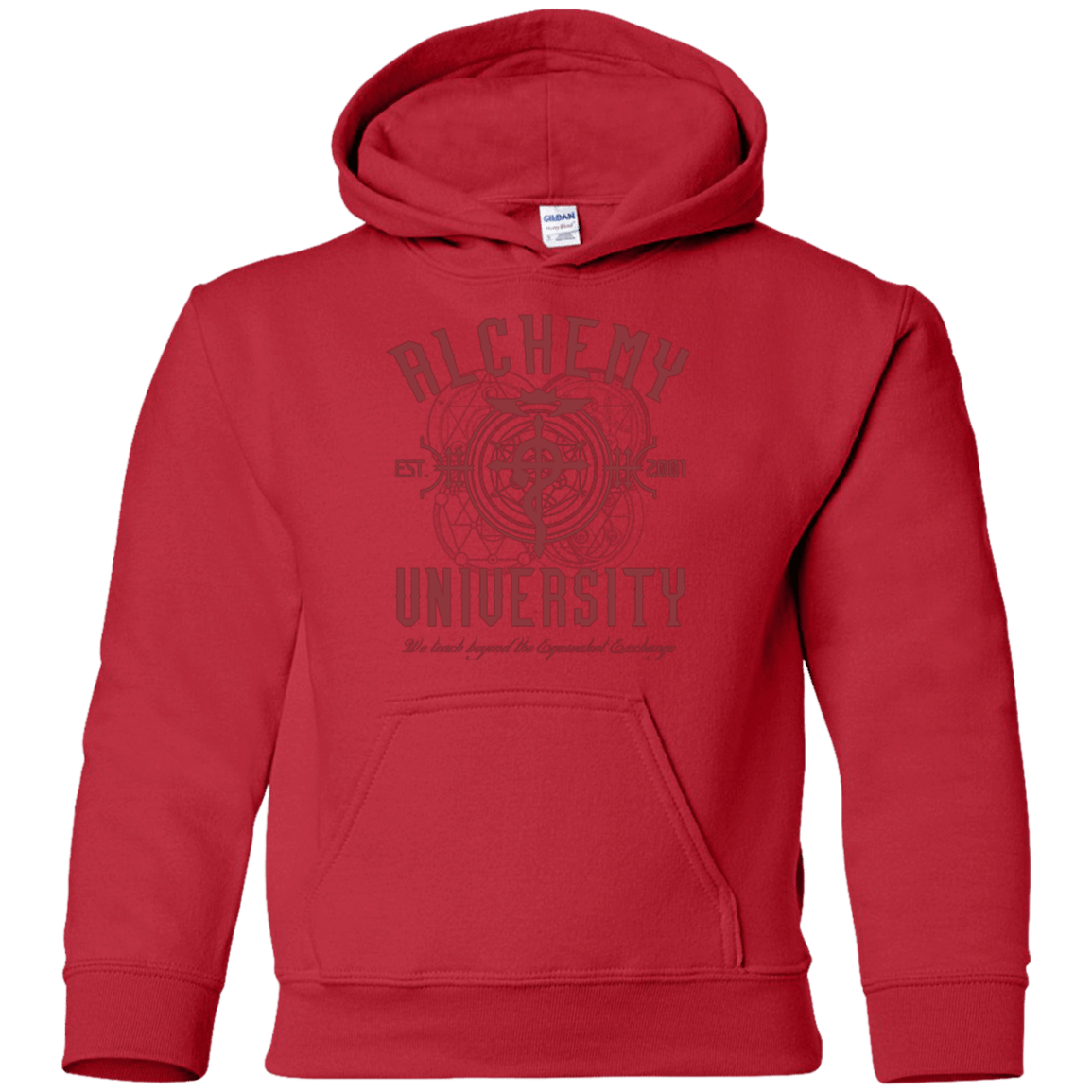 Sweatshirts Red / YS Alchemy University Youth Hoodie
