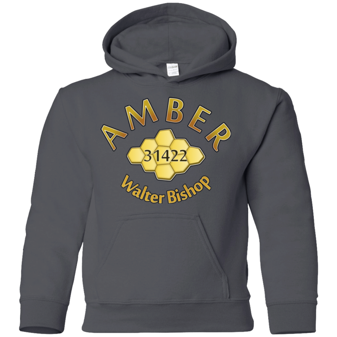 Sweatshirts Charcoal / YS Amber Youth Hoodie