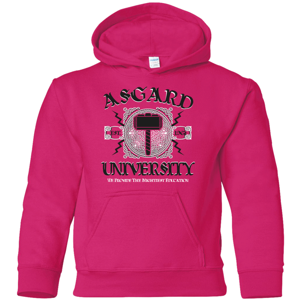 Sweatshirts Heliconia / YS Asgard University Youth Hoodie