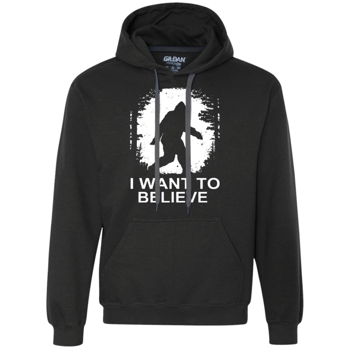 Sweatshirts Black / Small Believe Premium Fleece Hoodie