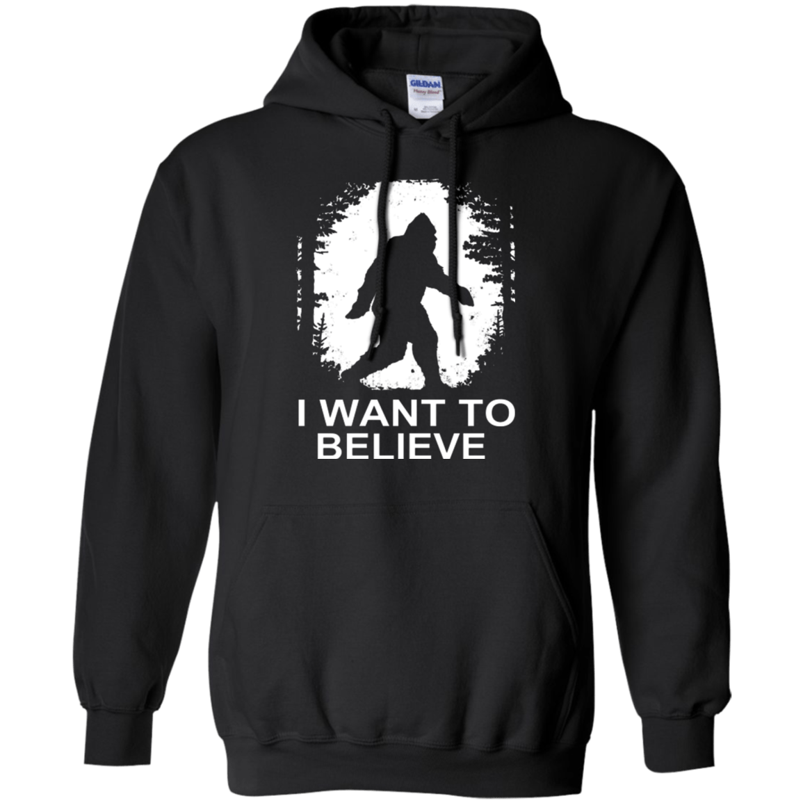 Sweatshirts Black / Small Believe Pullover Hoodie