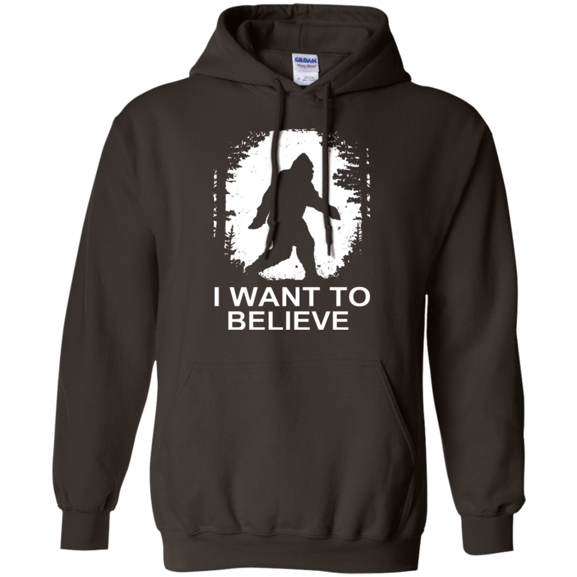 Sweatshirts Dark Chocolate / Small Believe Pullover Hoodie