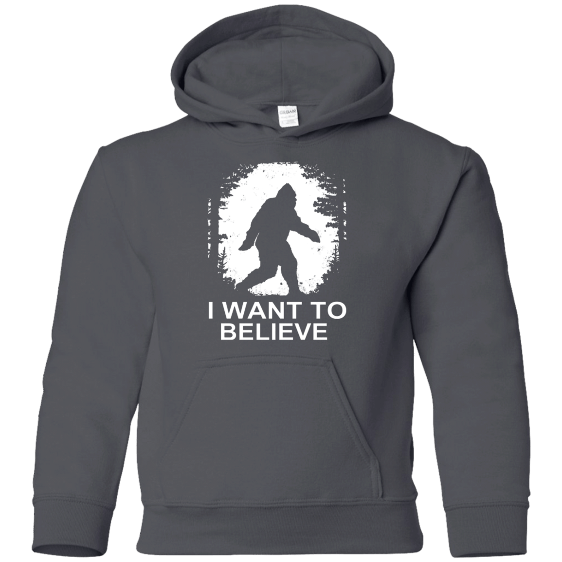 Sweatshirts Charcoal / YS Believe Youth Hoodie