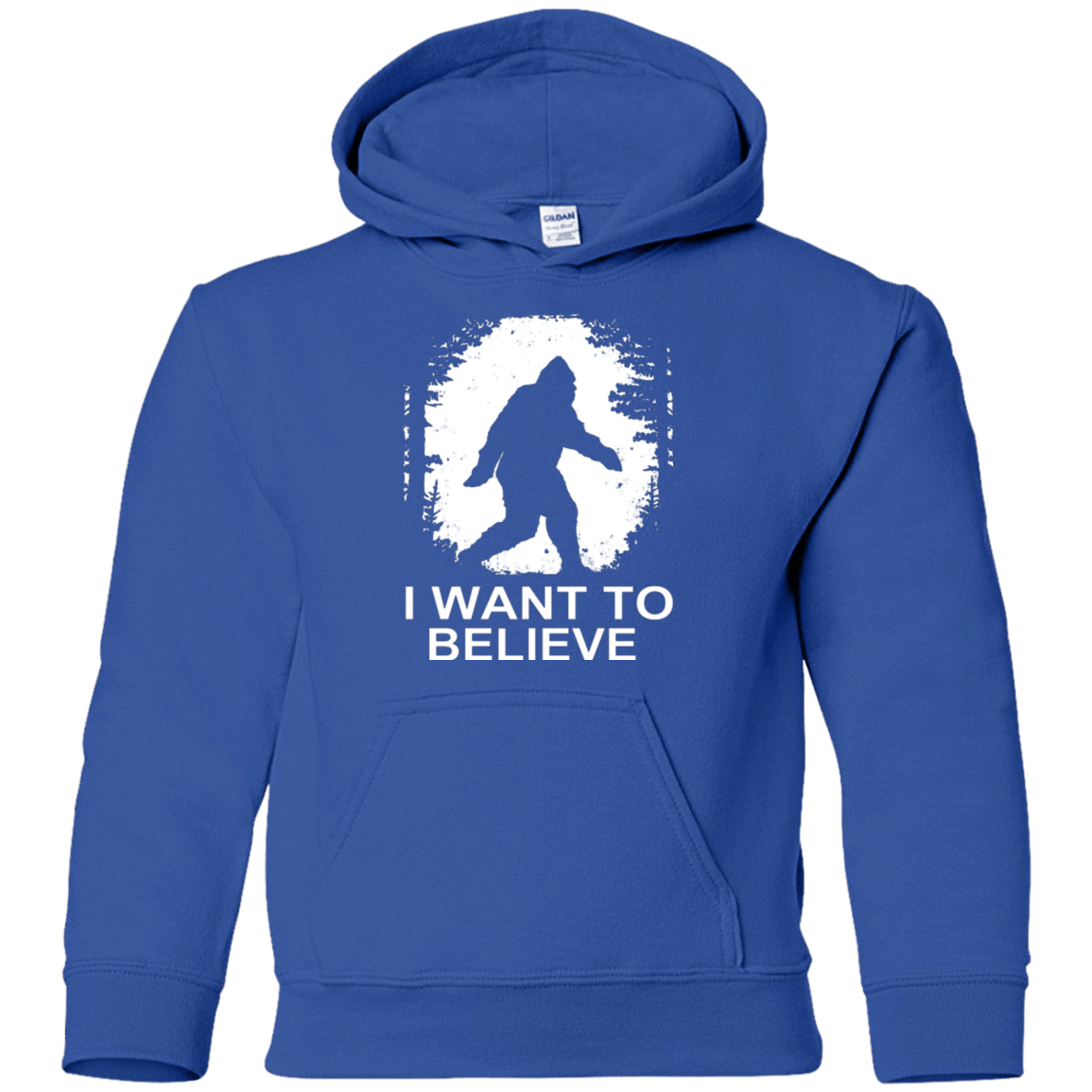 Sweatshirts Royal / YS Believe Youth Hoodie
