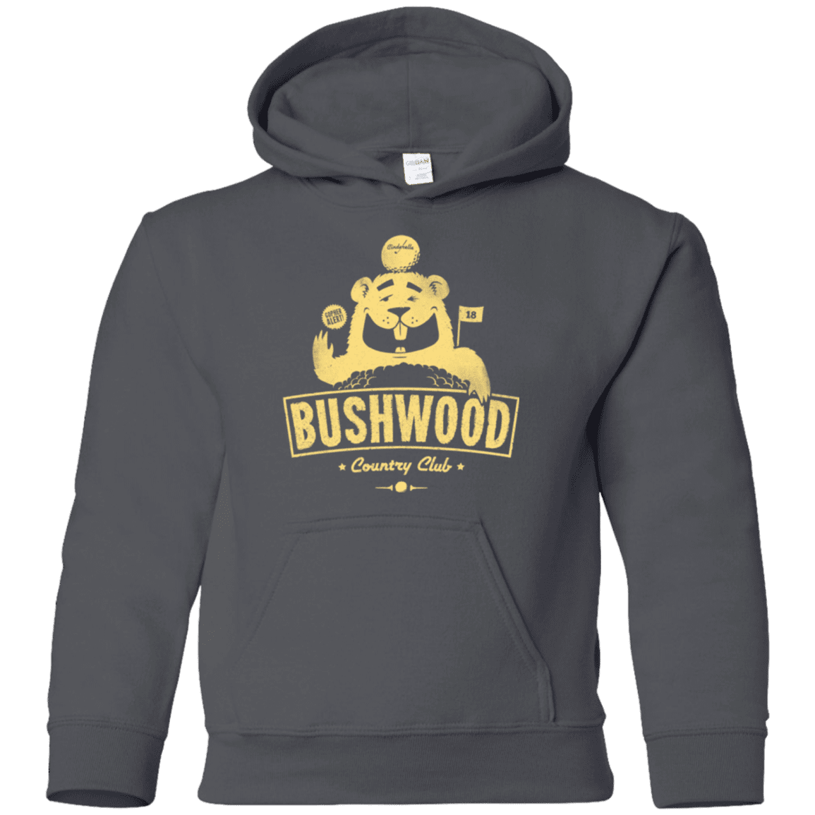Sweatshirts Charcoal / YS Bushwood Youth Hoodie