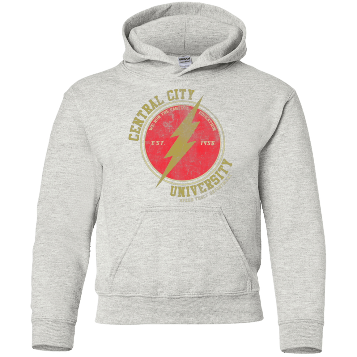 Sweatshirts Ash / YS Central City U Youth Hoodie