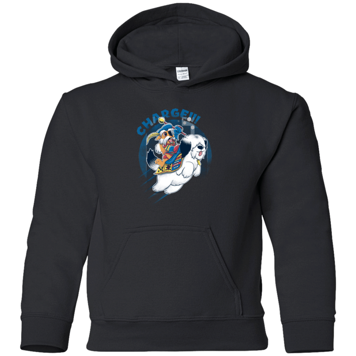 Sweatshirts Black / YS Charge Youth Hoodie