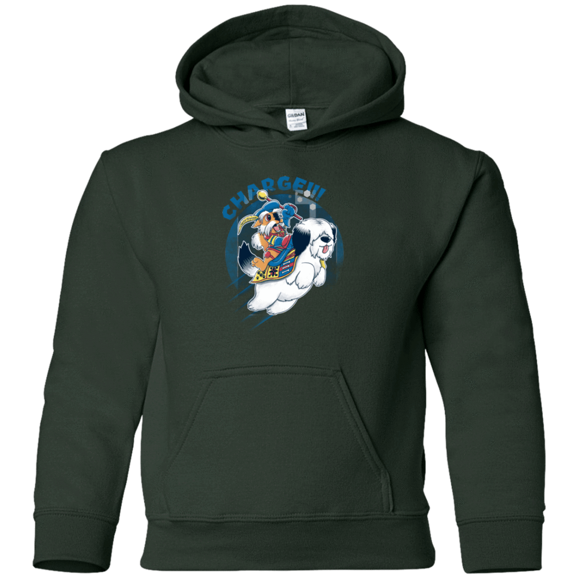 Sweatshirts Forest Green / YS Charge Youth Hoodie
