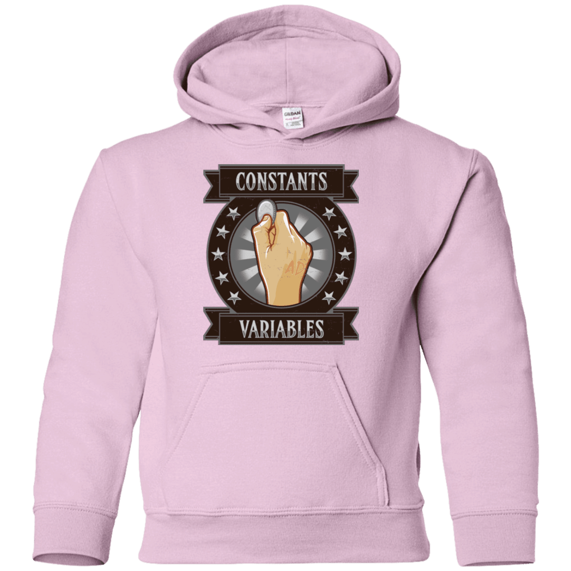 Sweatshirts Light Pink / YS CONSTANTS AND VARIABLES Youth Hoodie