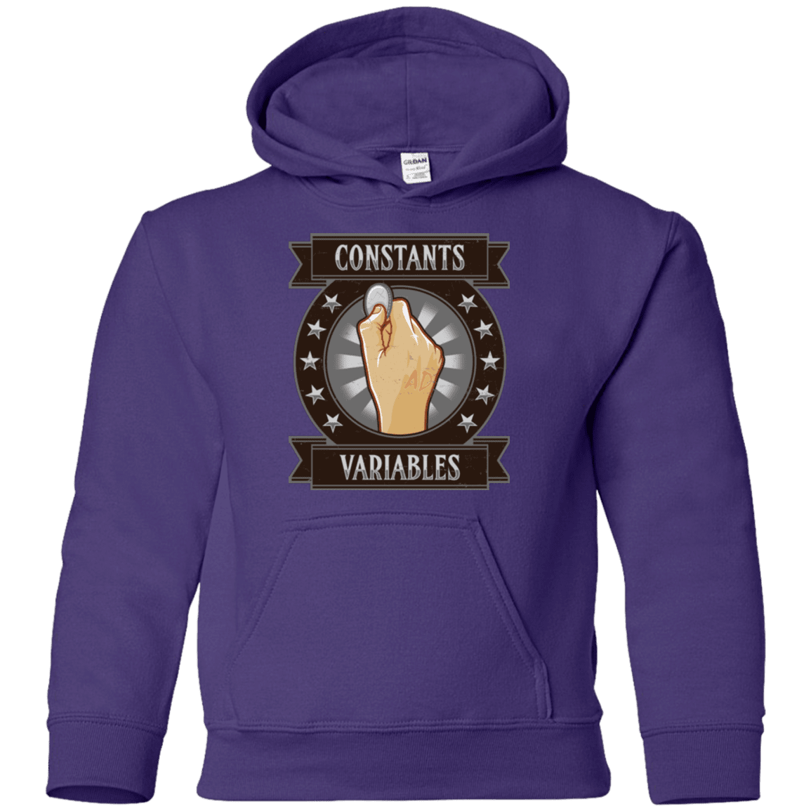 Sweatshirts Purple / YS CONSTANTS AND VARIABLES Youth Hoodie