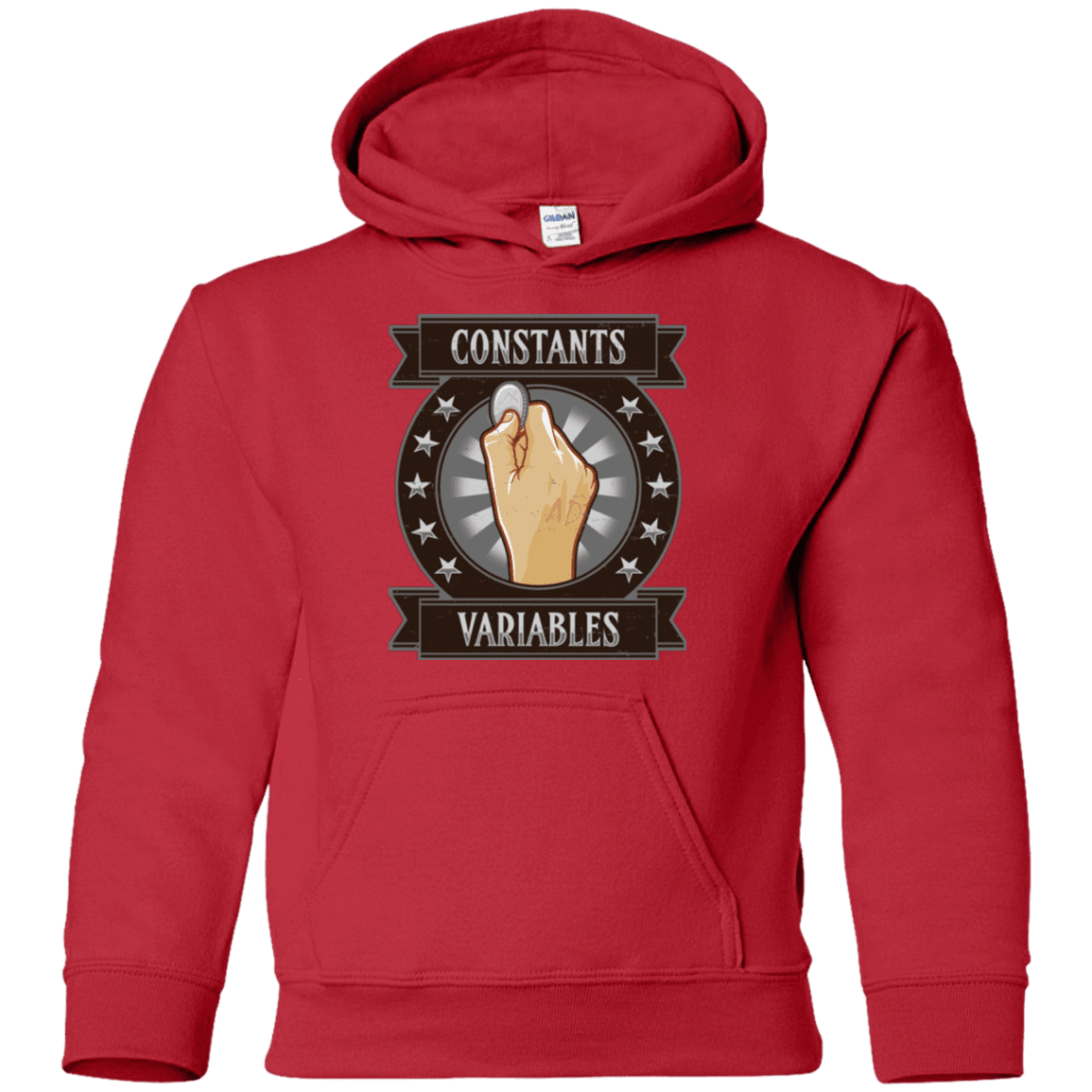 Sweatshirts Red / YS CONSTANTS AND VARIABLES Youth Hoodie