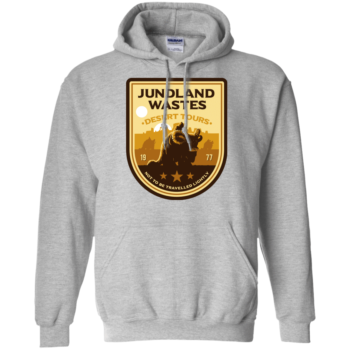 Sweatshirts Sport Grey / Small Desert Tours Pullover Hoodie