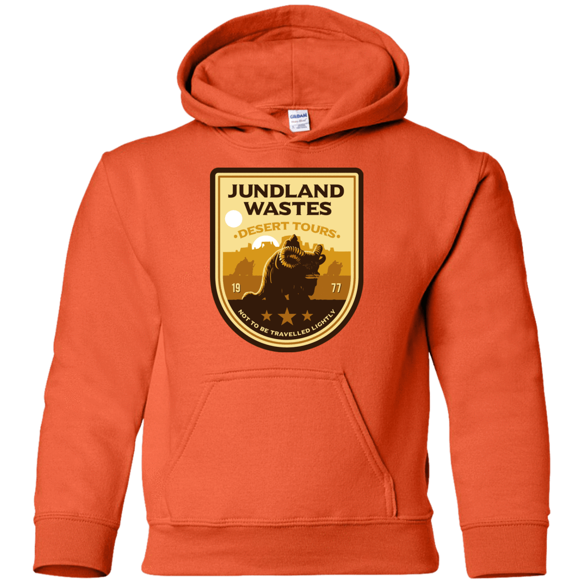 Sweatshirts Orange / YS Desert Tours Youth Hoodie