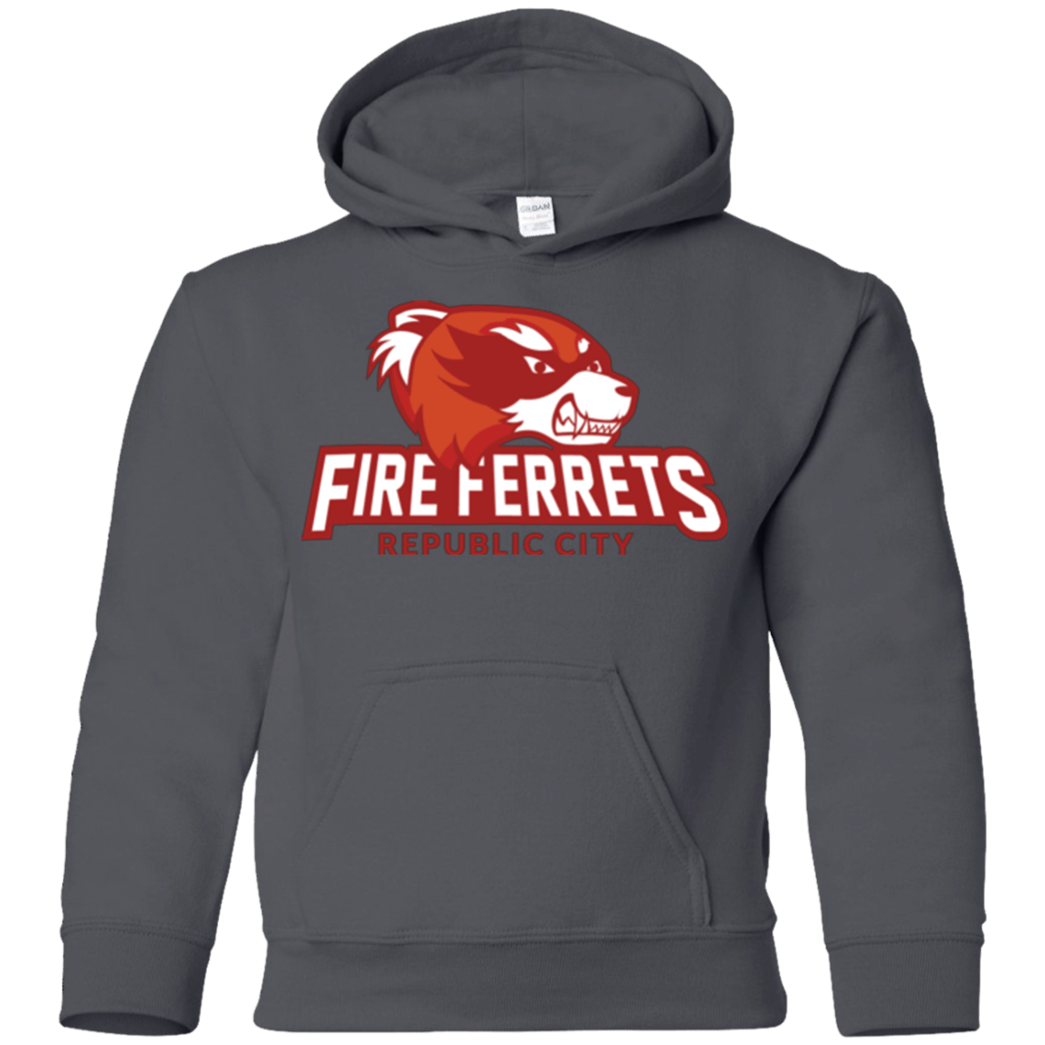 Sweatshirts Charcoal / YS Fire Ferrets Youth Hoodie
