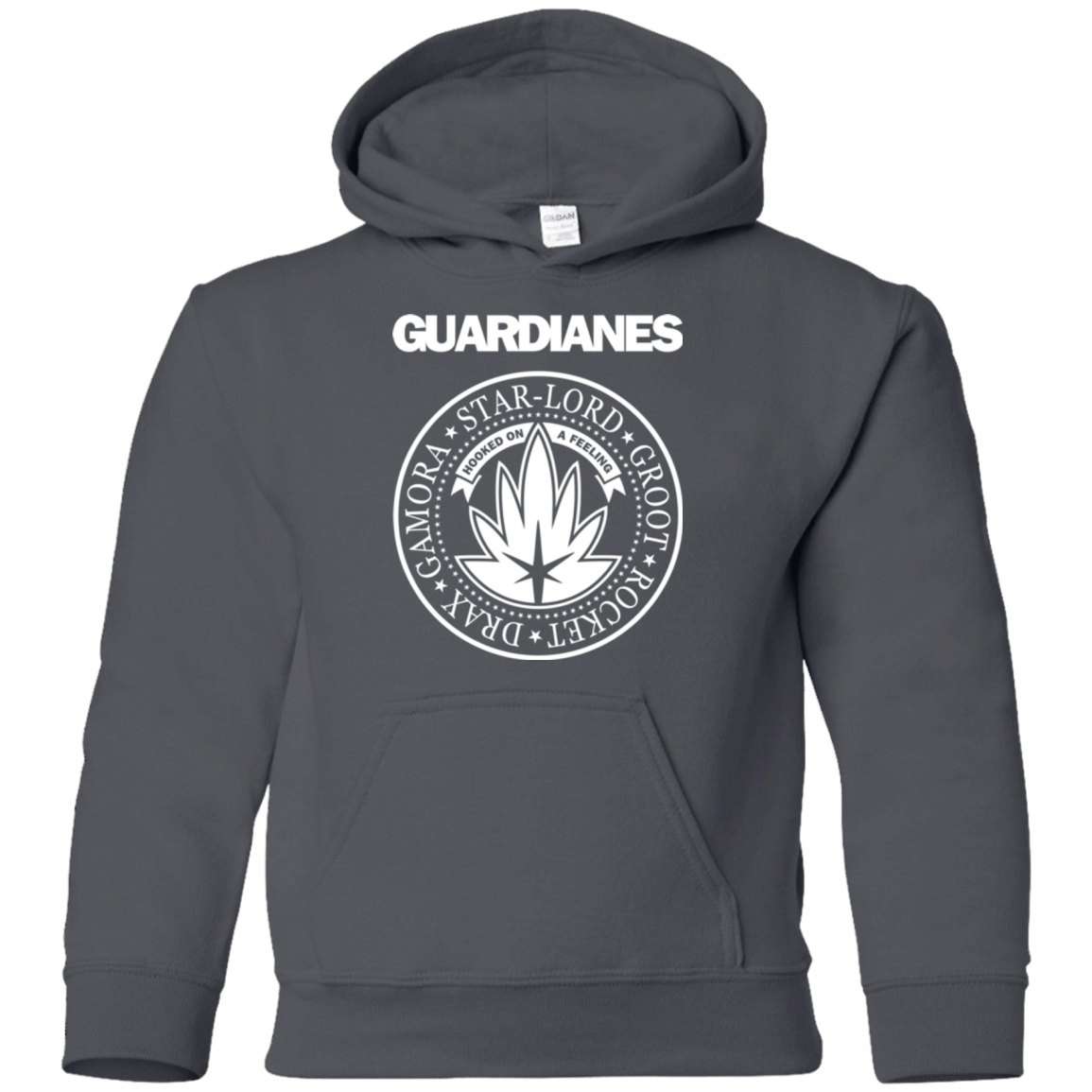 Sweatshirts Charcoal / YS Guardianes Youth Hoodie