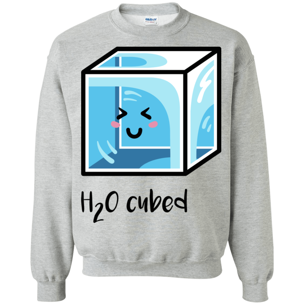 Sweatshirts Sport Grey / S H2O Cubed Crewneck Sweatshirt