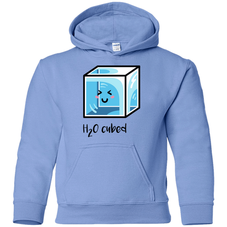 Sweatshirts Carolina Blue / YS H2O Cubed Youth Hoodie