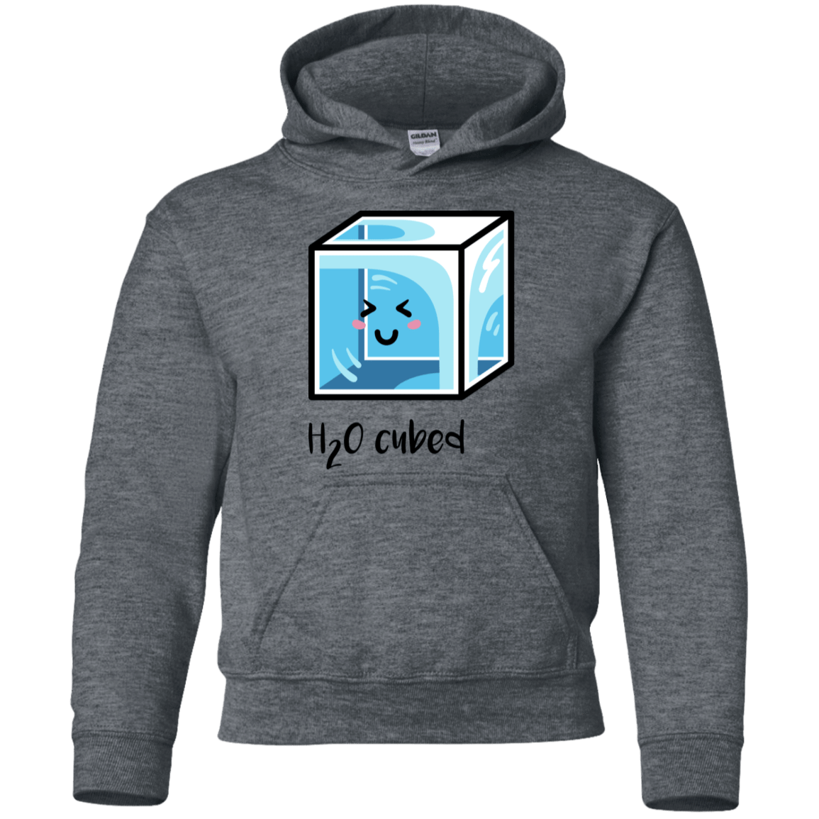 Sweatshirts Dark Heather / YS H2O Cubed Youth Hoodie