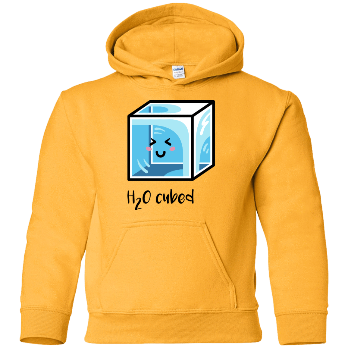 Sweatshirts Gold / YS H2O Cubed Youth Hoodie