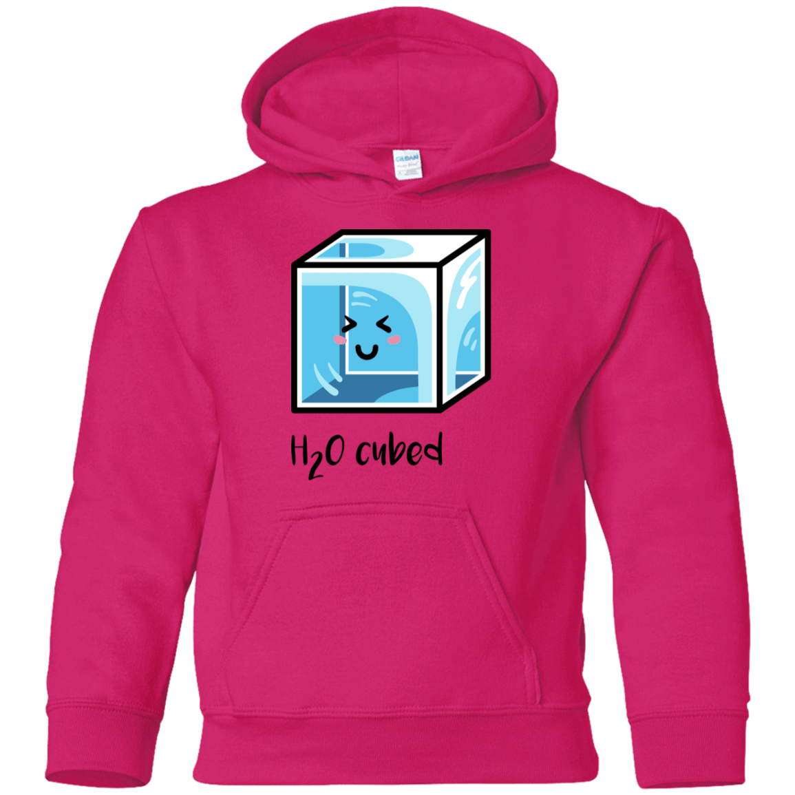 Sweatshirts Heliconia / YS H2O Cubed Youth Hoodie