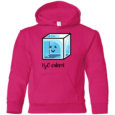 Sweatshirts Heliconia / YS H2O Cubed Youth Hoodie