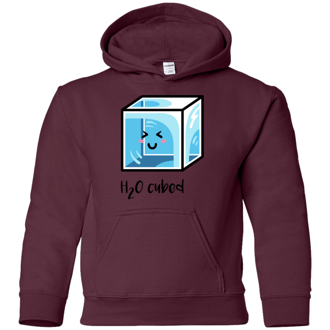 Sweatshirts Maroon / YS H2O Cubed Youth Hoodie
