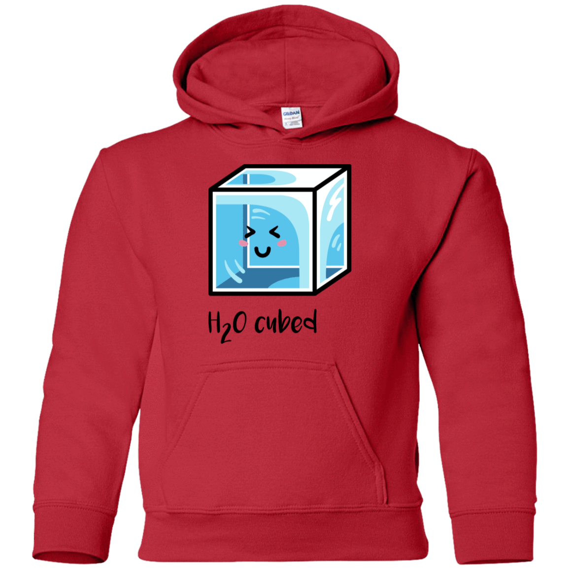 Sweatshirts Red / YS H2O Cubed Youth Hoodie
