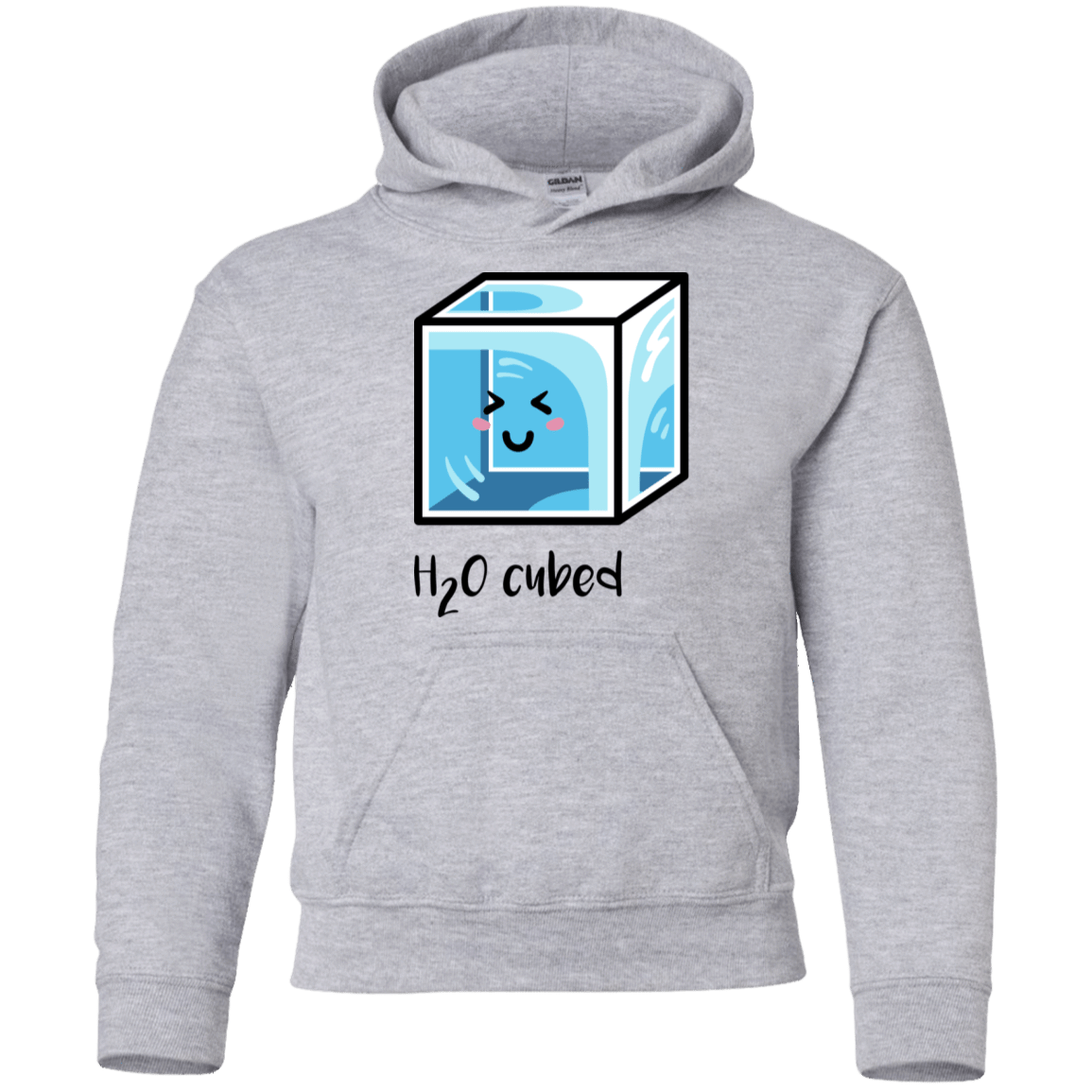 Sweatshirts Sport Grey / YS H2O Cubed Youth Hoodie