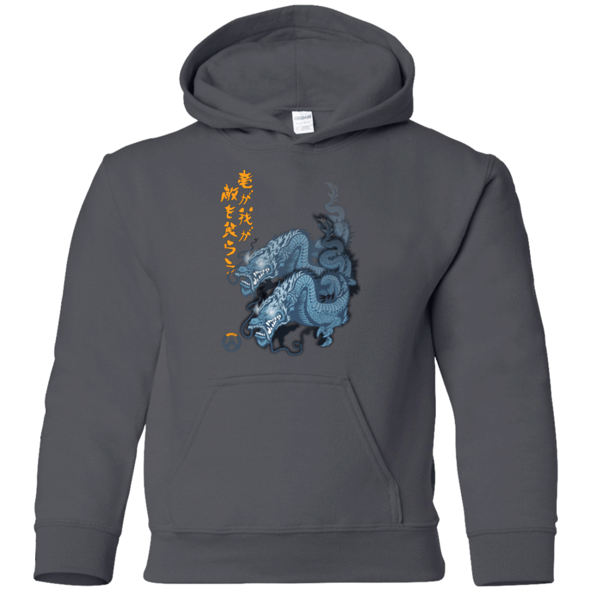 Sweatshirts Charcoal / YS Hanzo Youth Hoodie