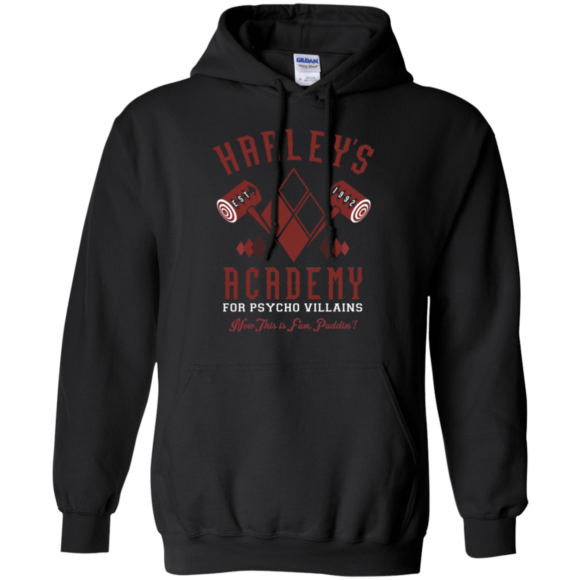 Sweatshirts Black / Small Harley's Academy Pullover Hoodie