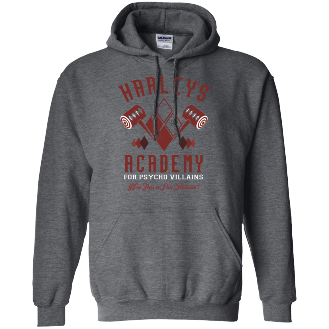 Sweatshirts Dark Heather / Small Harley's Academy Pullover Hoodie