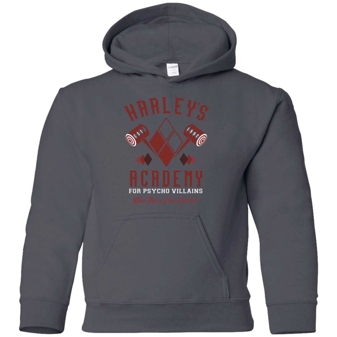 Sweatshirts Charcoal / YS Harley's Academy Youth Hoodie