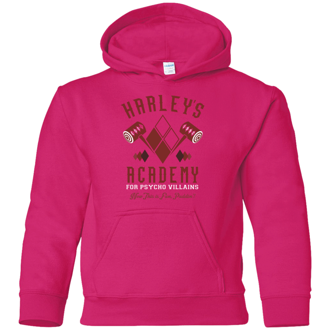 Sweatshirts Heliconia / YS Harley's Academy Youth Hoodie