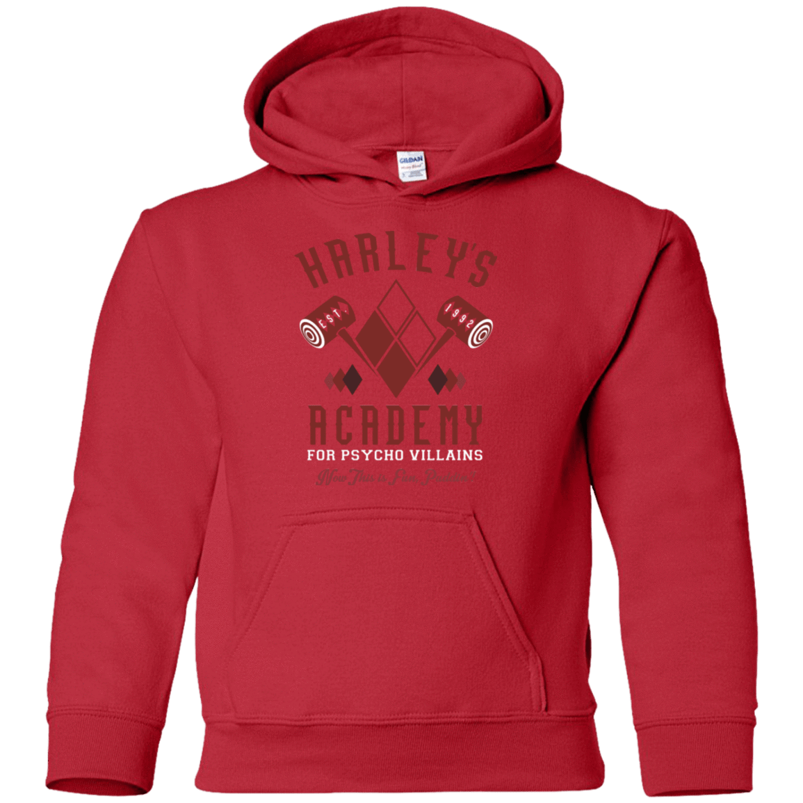 Sweatshirts Red / YS Harley's Academy Youth Hoodie