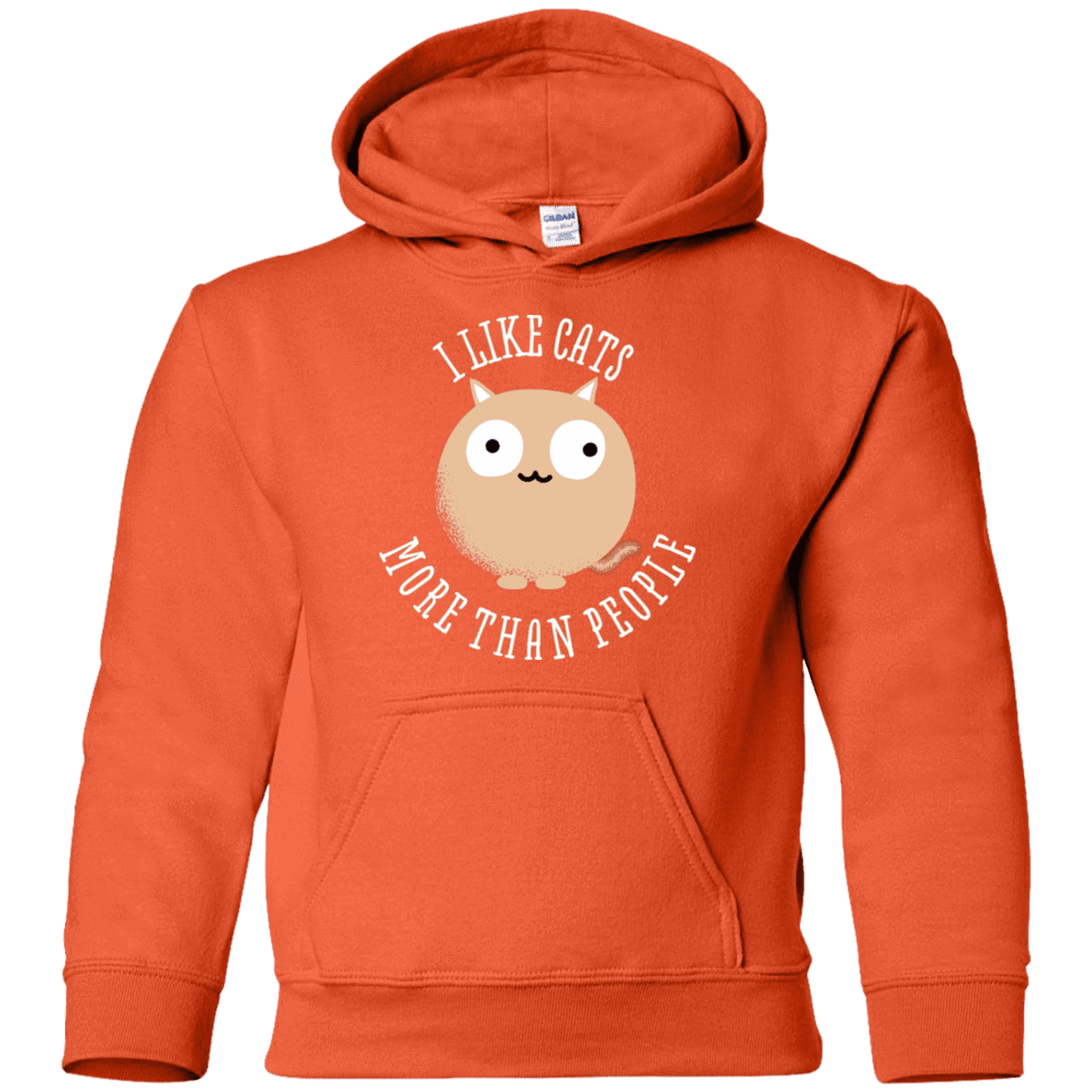 Sweatshirts Orange / YS I Like Cats Youth Hoodie