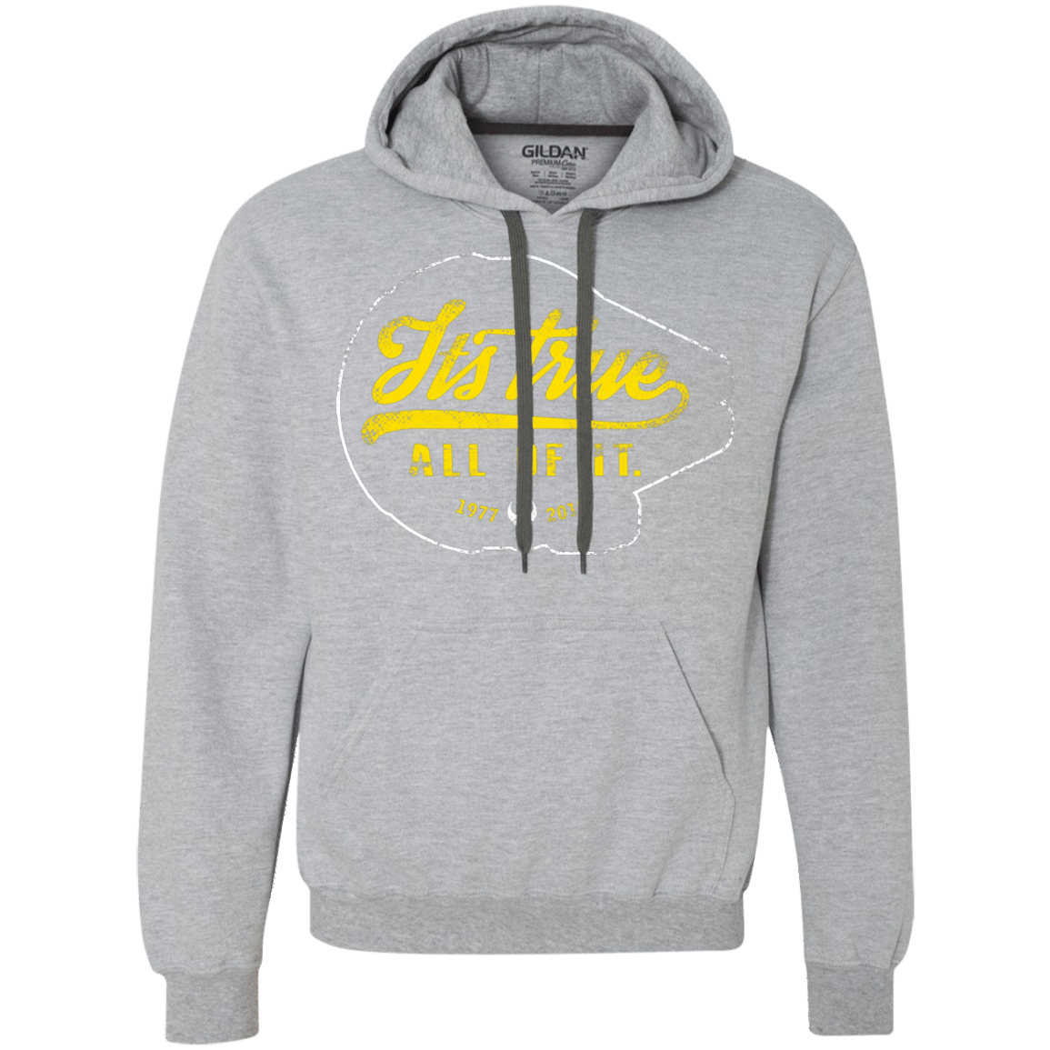 Sweatshirts Sport Grey / S Its True Premium Fleece Hoodie