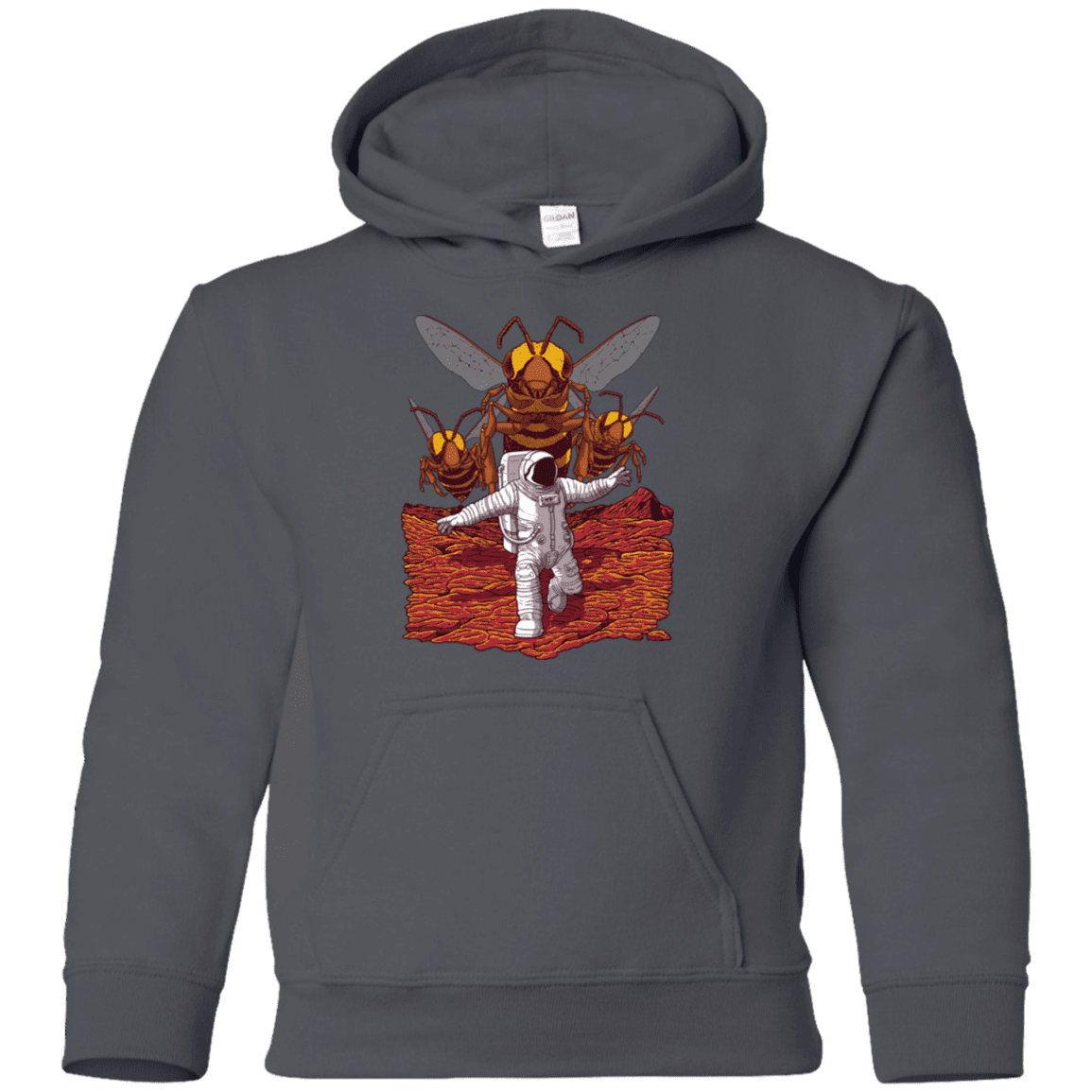 Sweatshirts Charcoal / YS Killer Bees on Mars Youth Hoodie