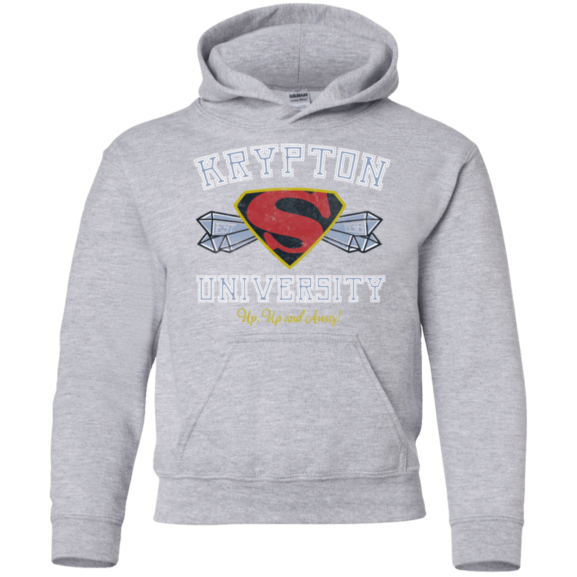 Sweatshirts Sport Grey / YS Krypton University Youth Hoodie