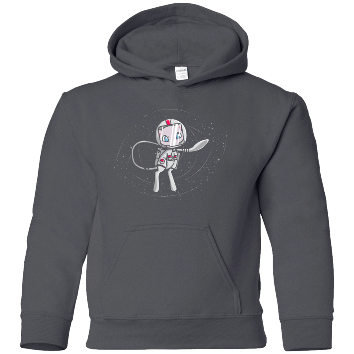Sweatshirts Charcoal / YS LIFE IN SPACE Youth Hoodie