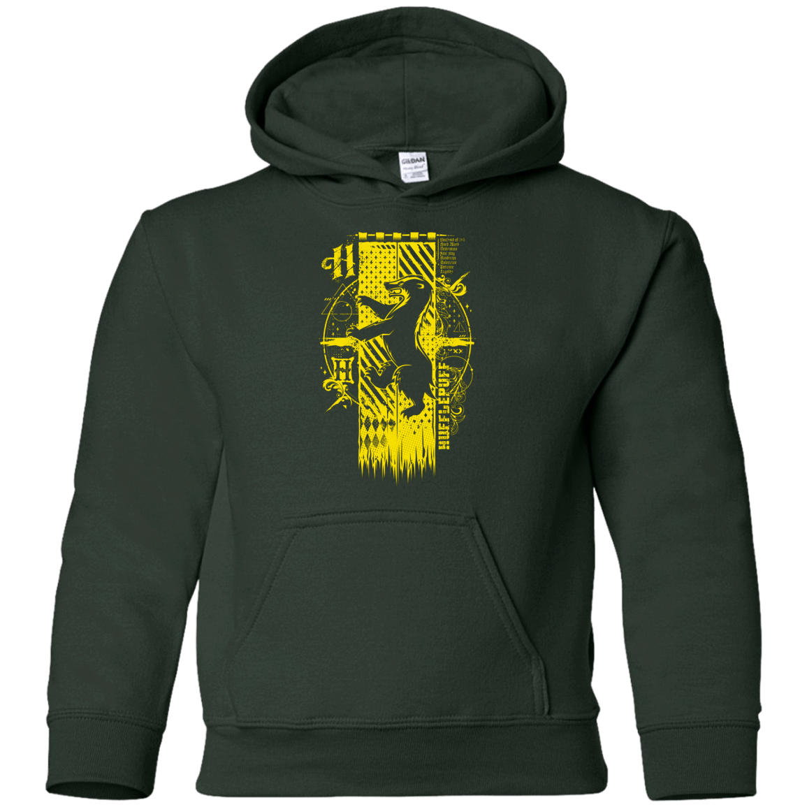 Sweatshirts Forest Green / YS Magic H House Youth Hoodie
