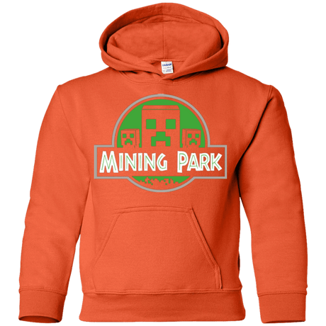 Sweatshirts Orange / YS Mining Park Youth Hoodie