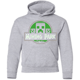 Sweatshirts Sport Grey / YS Mining Park Youth Hoodie